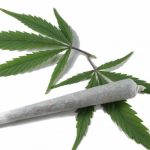 Cannabis, drogue Professeur Joyeux