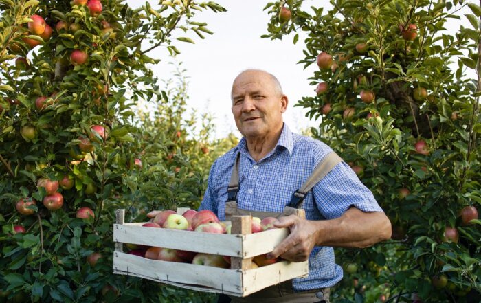 L’été est la saison idéale pour se régaler des fruits que nous procure la nature